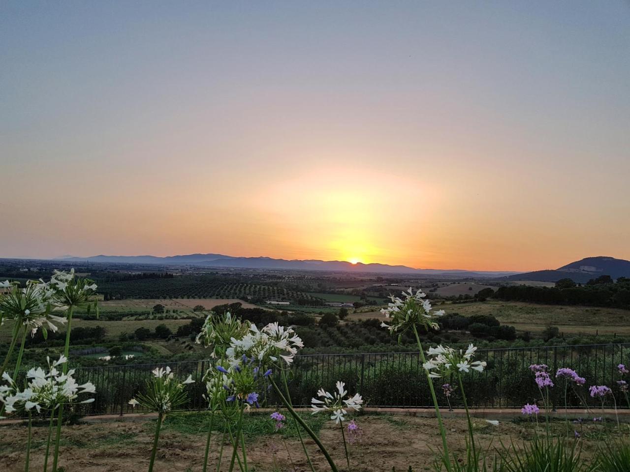 Agriturismo La Fonte Grosseto Eksteriør billede